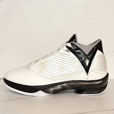 AIR JORDAN 2009 sneaker