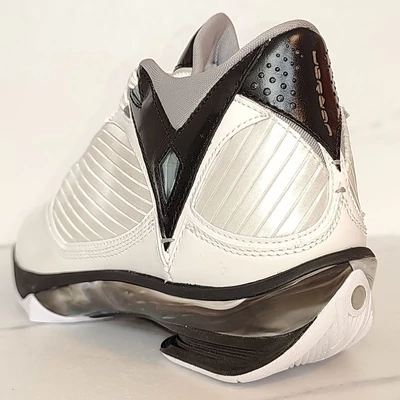 AIR JORDAN 2009 sneaker