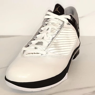 AIR JORDAN 2009 sneaker